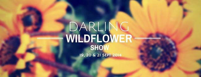 DARLING WILDFLOWER SHOW