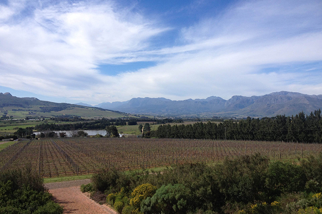 Glen Carlou offers magnificent views on to Paarl (the home of KWV)