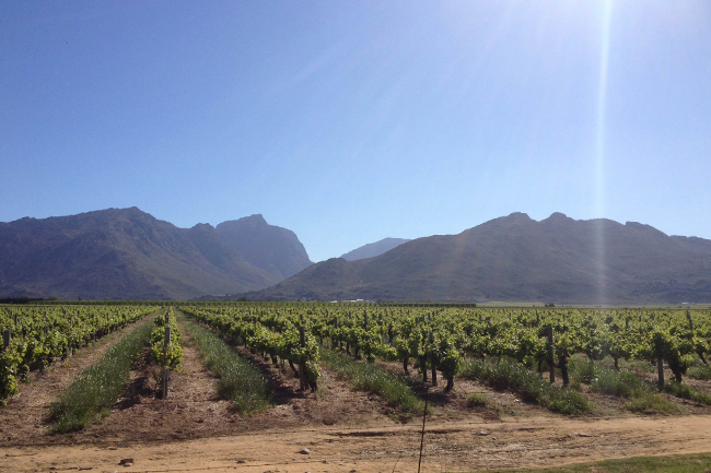 DISCOVERING THE BREEDEKLOOF