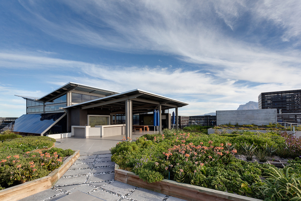 Aurecon rooftop garden - image by Jason Buch Photography
