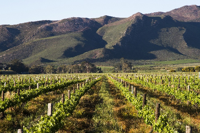 5 INTERESTING WINE FARMS YOU MAY NOT HAVE HEARD OF
