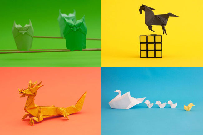 Q&A WITH ORIGAMI ARTIST WHITE ON RICE | CapeTown ETC