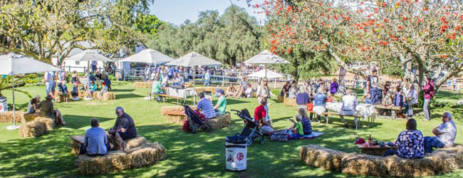 Groote post country market