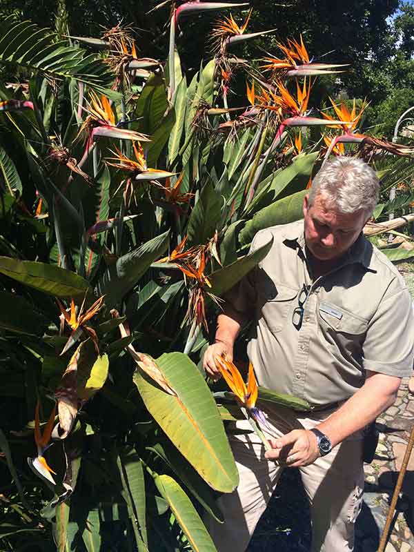 Bruce explaining how sugar birds pollinate the unique-looking Strelitzia