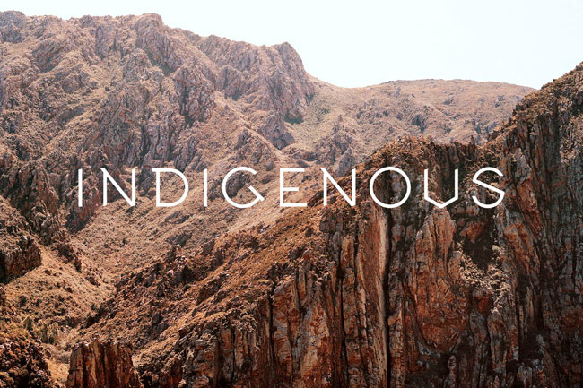 INDIGENOUS – THE NEW BODY, HOME AND SOUL STORE