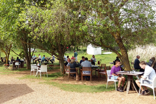 THE BEST OF THE DURBANVILLE WINE ROUTE