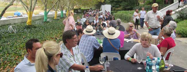 RIEBEEK VALLEY OLIVE FESTIVAL