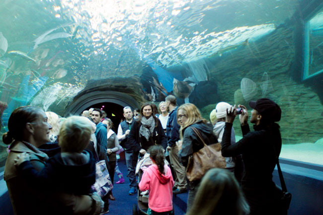 TWO EXCITING NEW ATTRACTIONS OPENS AT TWO OCEANS AQUARIUM