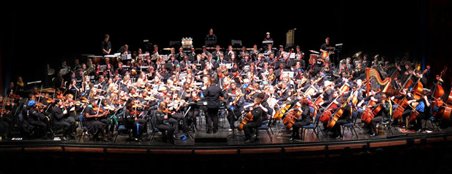 national youth orchestra perform at mandela day