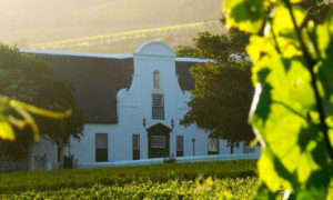 Groot Constantia Sauvignon Blanc named best in world