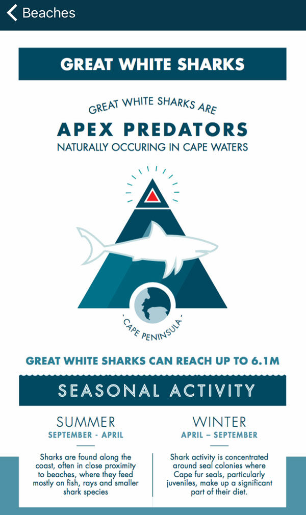 shark spotters