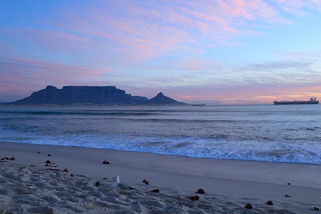 things to do and places to visit in cape town south africa