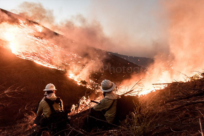 A photographic tribute to South African firefighters