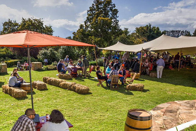 What to expect at the Elgin Cool Wine & Country Food Festival 2017