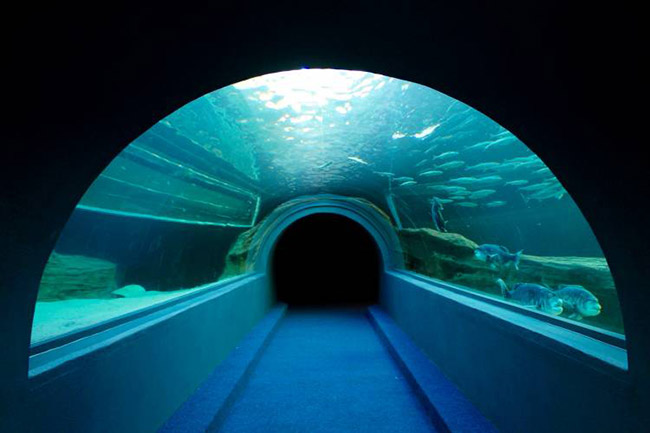 I&J Ocean Tunnel.