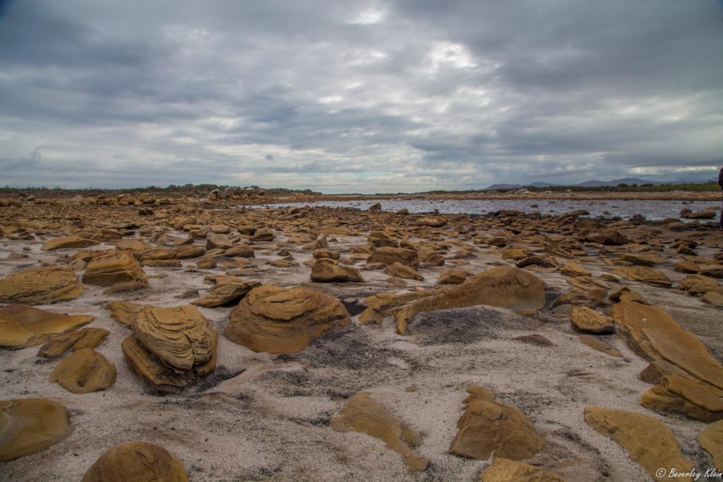 Sirkelsvlei Cape Point drought