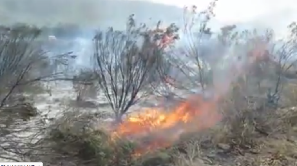 Watch: Fires rage in Cape Town, 500 left homeless