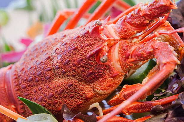 "Crayfish" season kicks off. You can fish for it, but not buy it.
