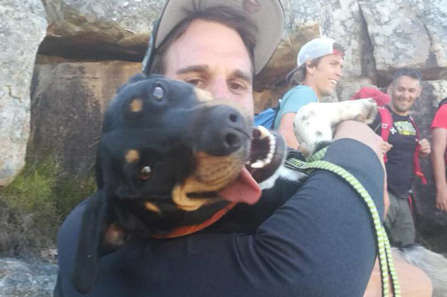 Lost dog rescued off Lion's Head ledge