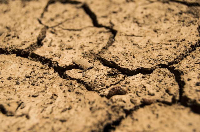 Government approves R82.5m for drought relief