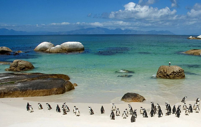 Hidden beaches in Cape Town
