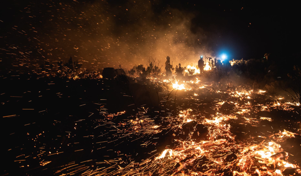 Franschhoek fire in pictures