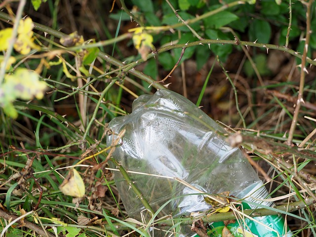 Cape Town's big fat plastic problem