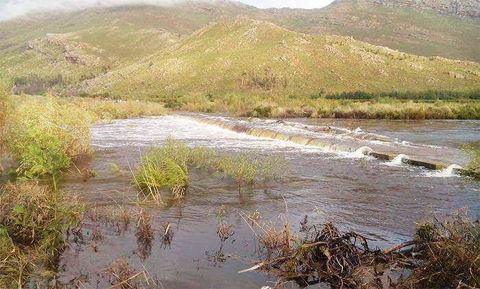 WATCH: The Breede River flowing