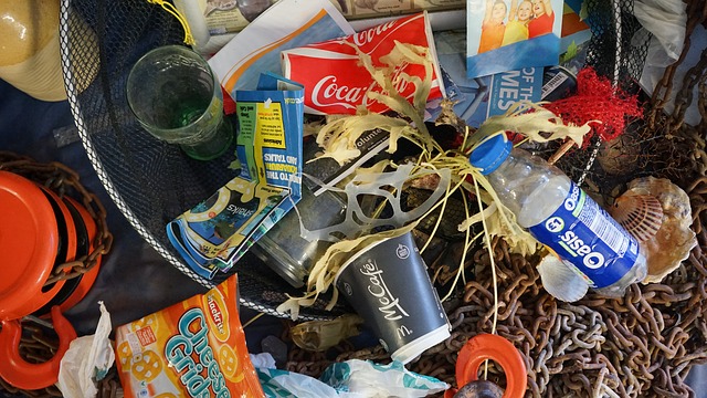 Government plans to ban harmful plastics