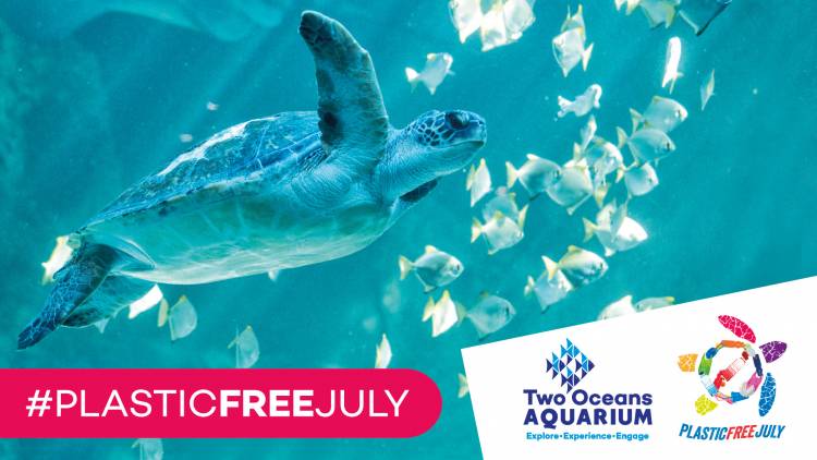 Plastic Free July at Two Oceans Aquarium