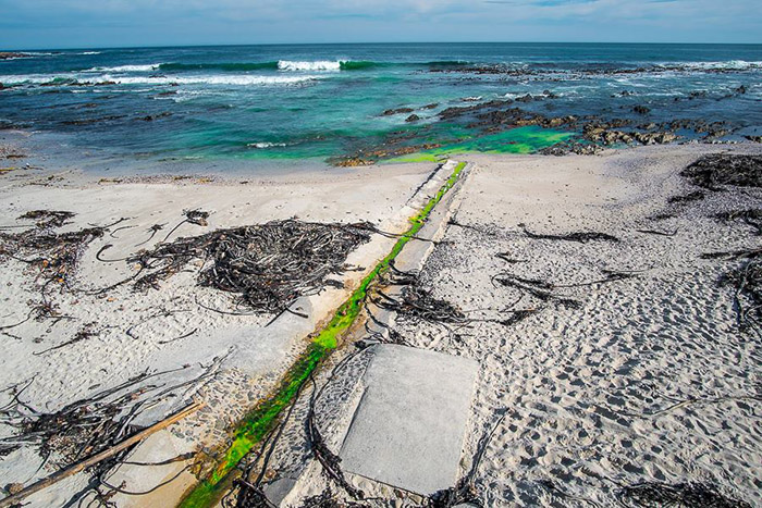 Green coolant leaks into Sea Point waters
