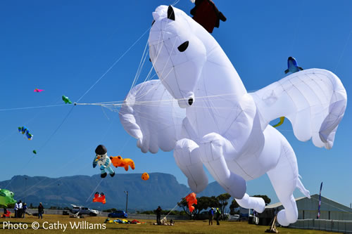 Cape Town Kite Festival entries open