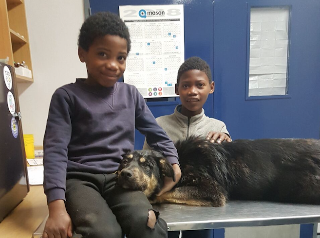 Brothers beat all odds to save beloved companion