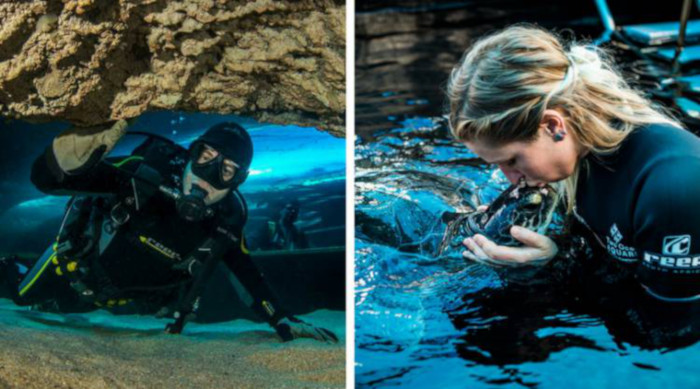 An Exclusive tour of Two Oceans Aquarium