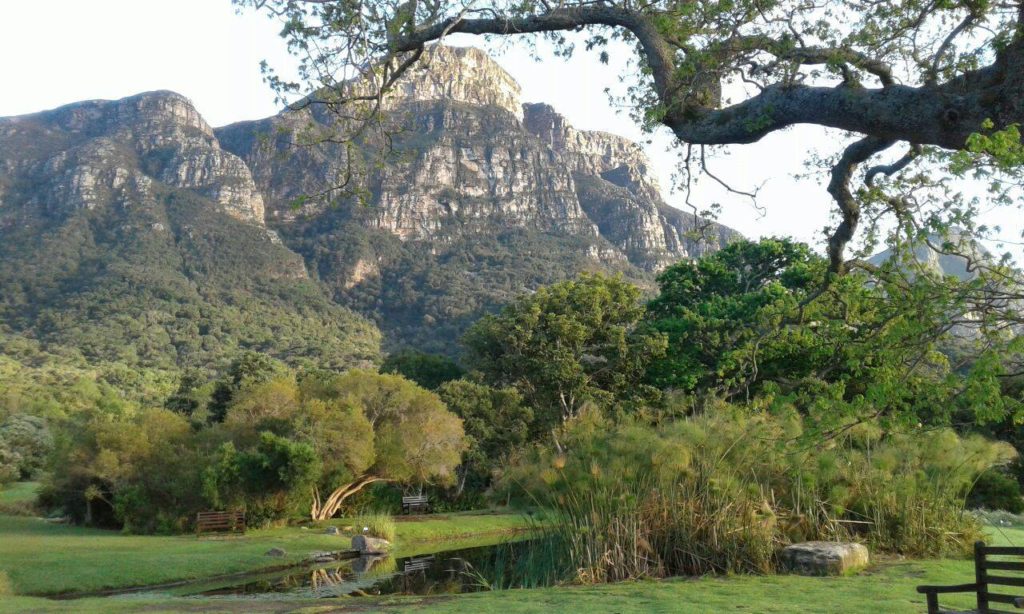 Must-visit picnic spots in the Cape