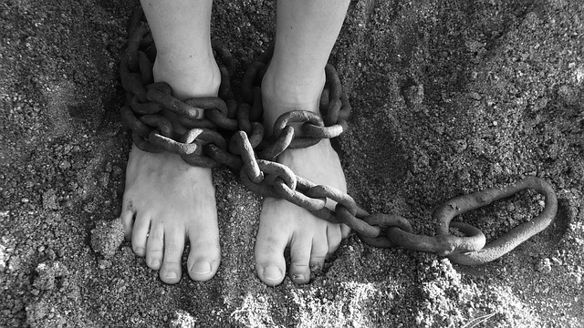 Human trafficking ring busted