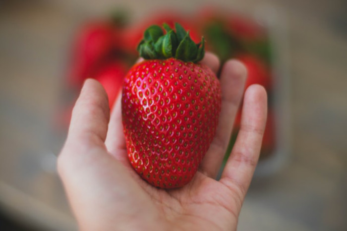 Where to go strawberry picking in the Cape