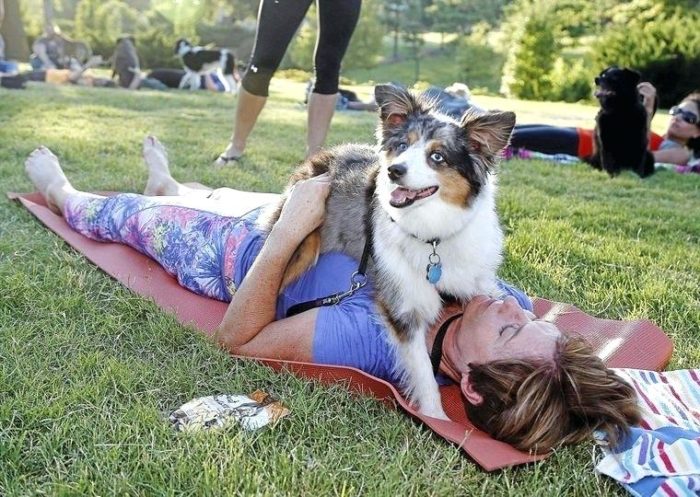 Yoga with man's best friend in Cape Town