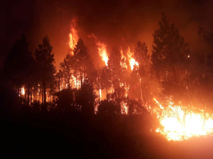 Tsitsikamma Forest burns
