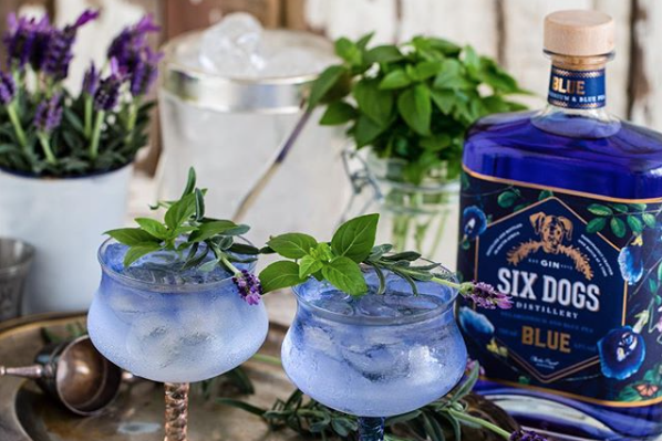 Local gins to add to your collection