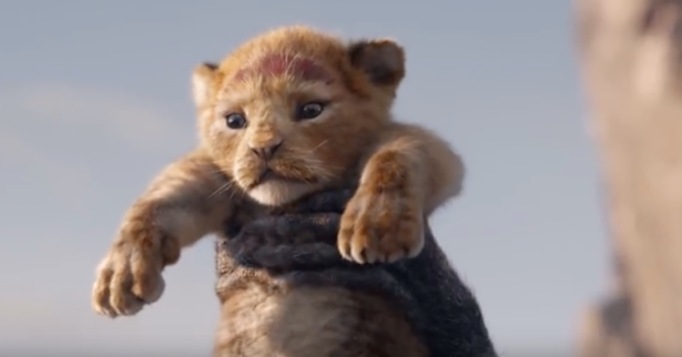Live action remake of Lion King date announced
