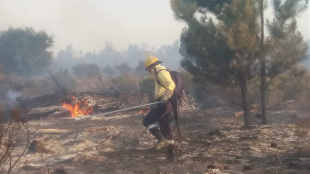 Garden Route fires claim 10th victim