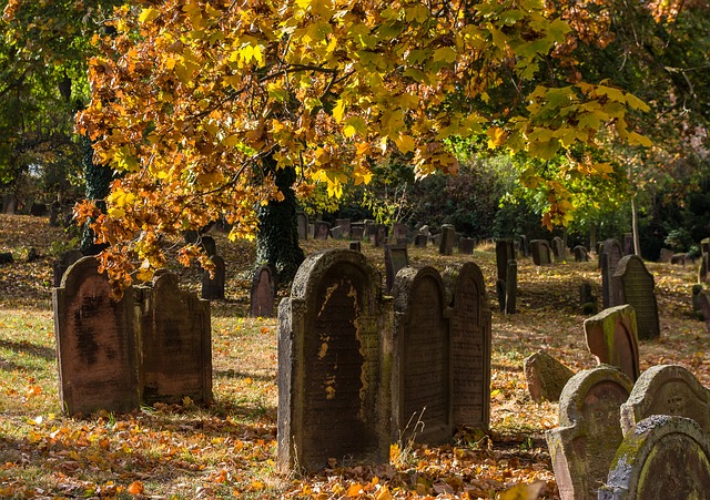 R10 000 reward for Jewish cemetery defacers