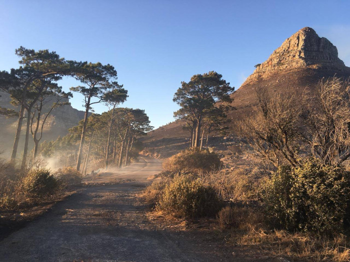 Fire delays Lion's Head trail reopening