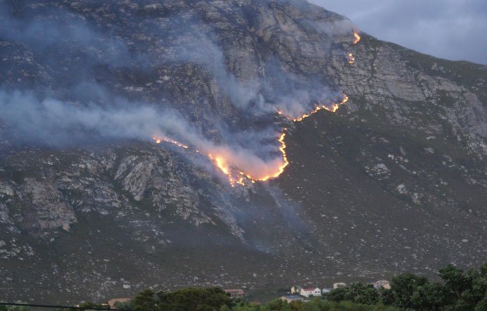 Man arrested for Betty's Bay and Pringle Bay fires