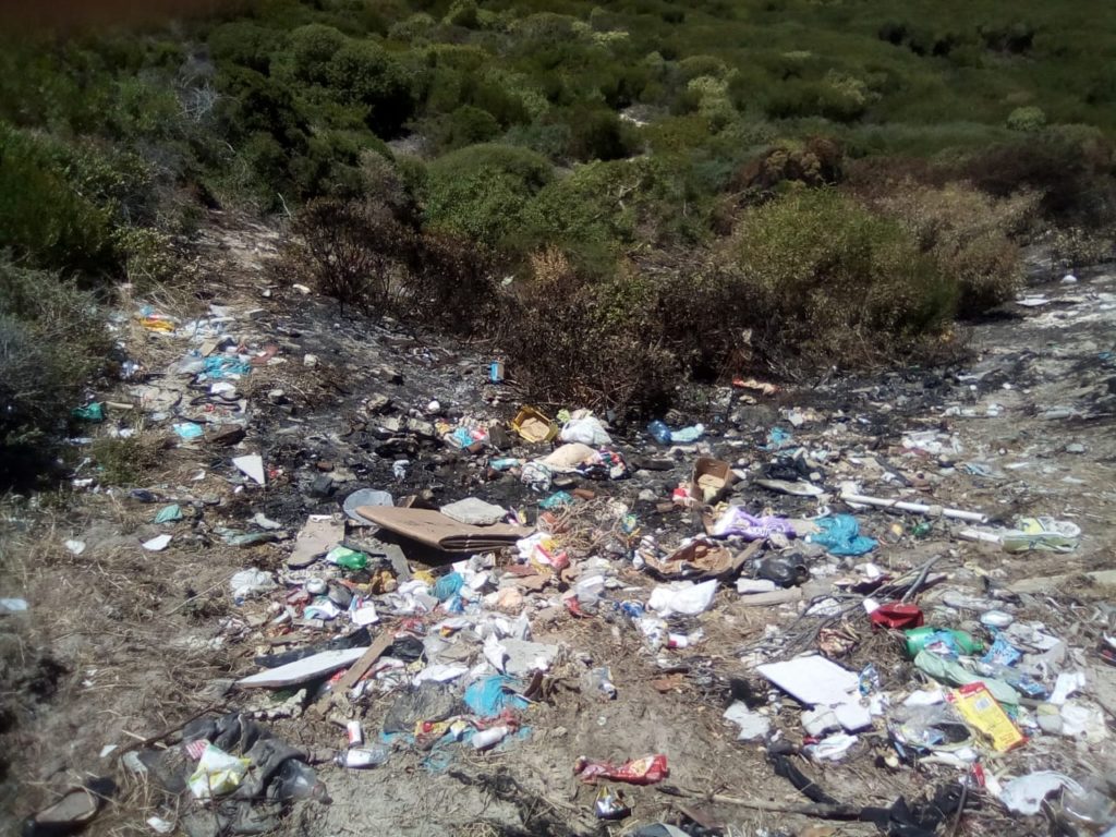 City condemns illegal dumping