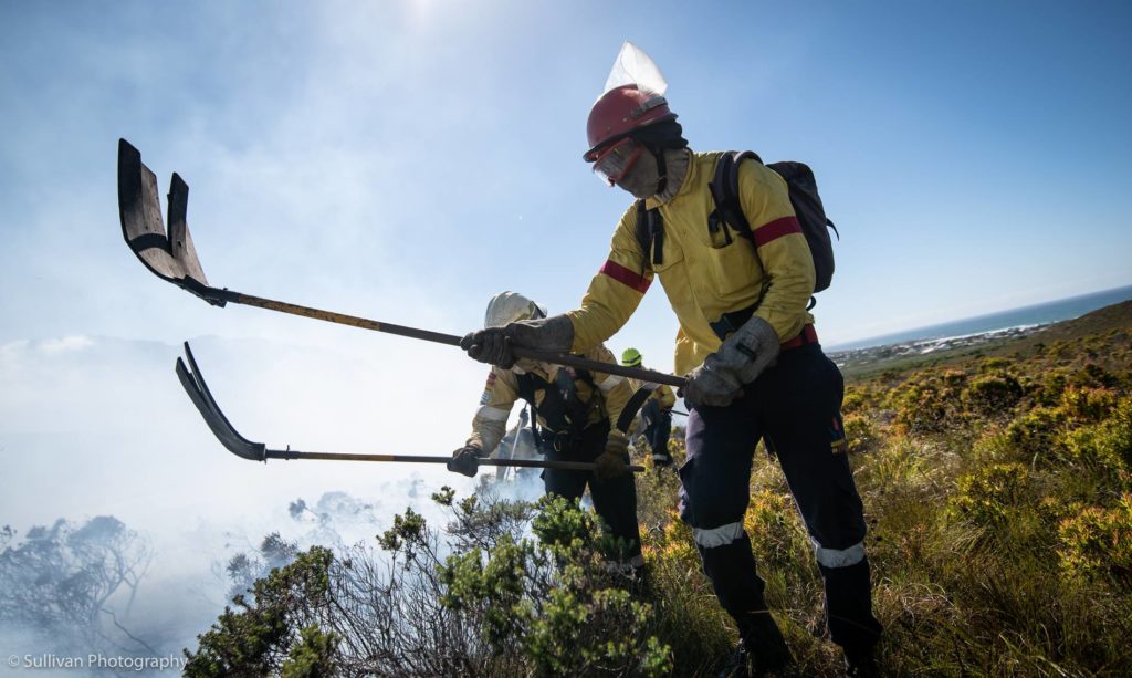 How to stay safe during a wildfire