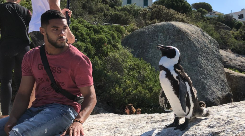 Penguin attacks international animal whisperer