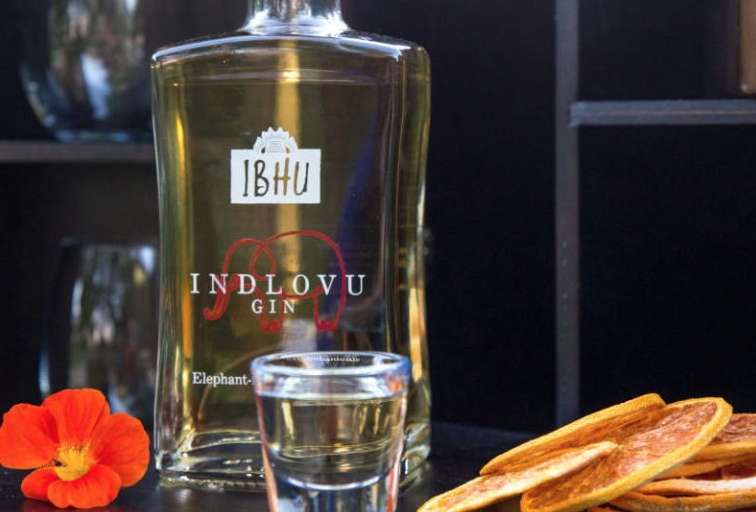 Indlovu Gin - a unique taste experience