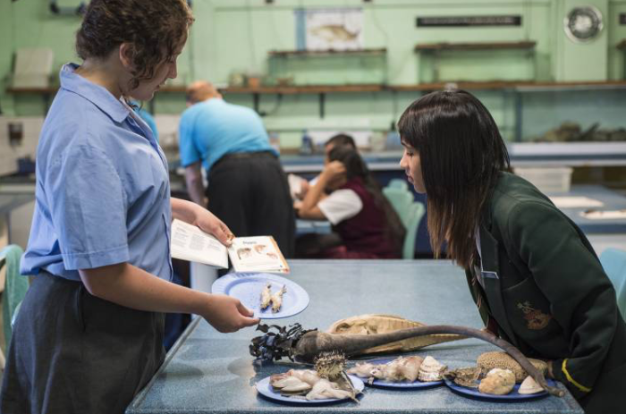 Aquarium offers free Zoology and Oceanography courses